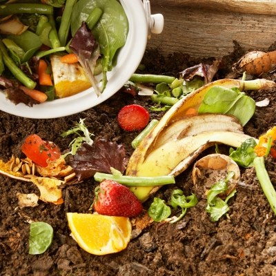 Surplus Food
